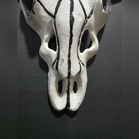 Cast Iron Metal Longhorn Steer Cow Skull Wall Plaque Rustic Western Desert - Picture 2 of 9